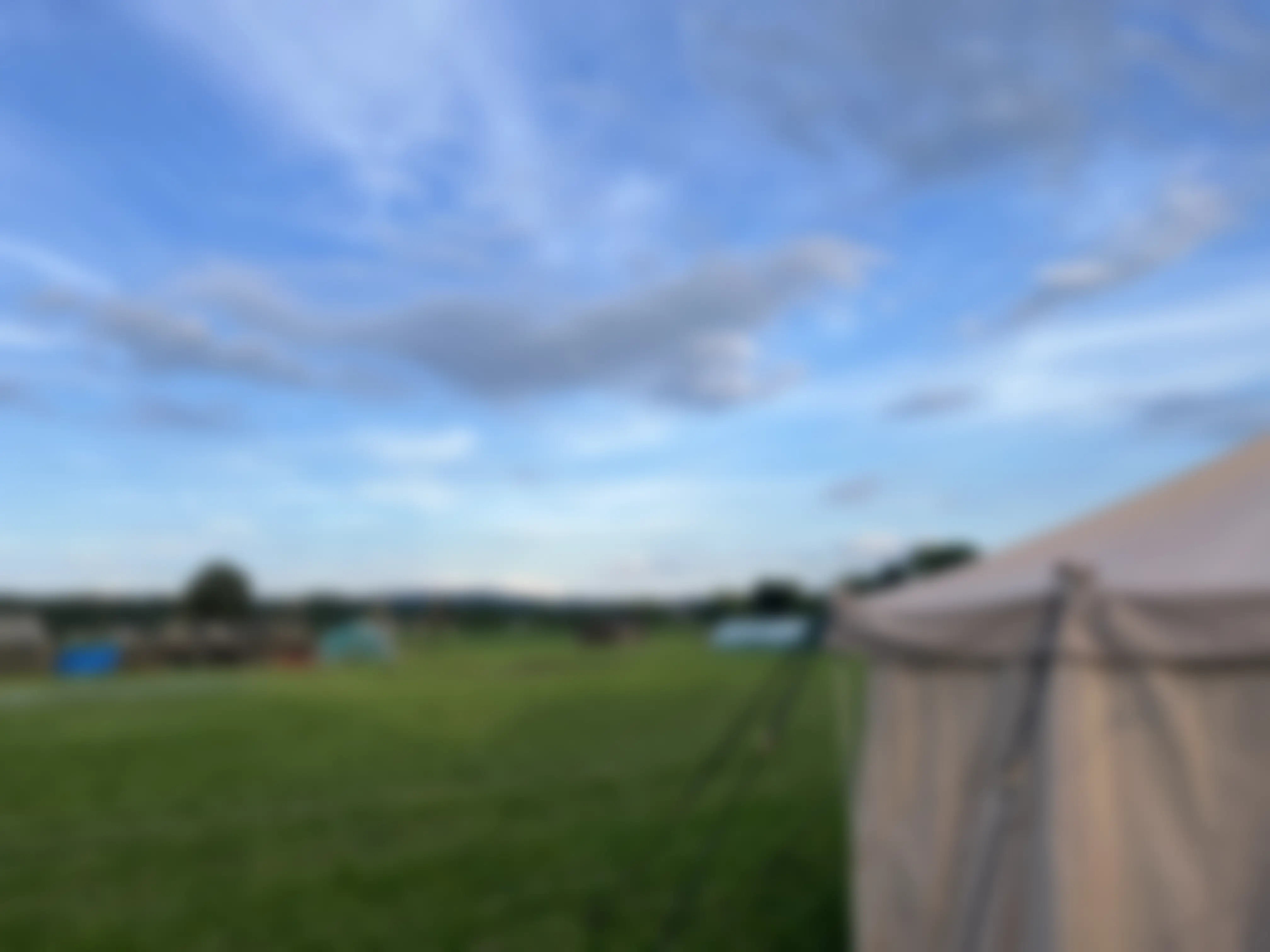 veld.webp